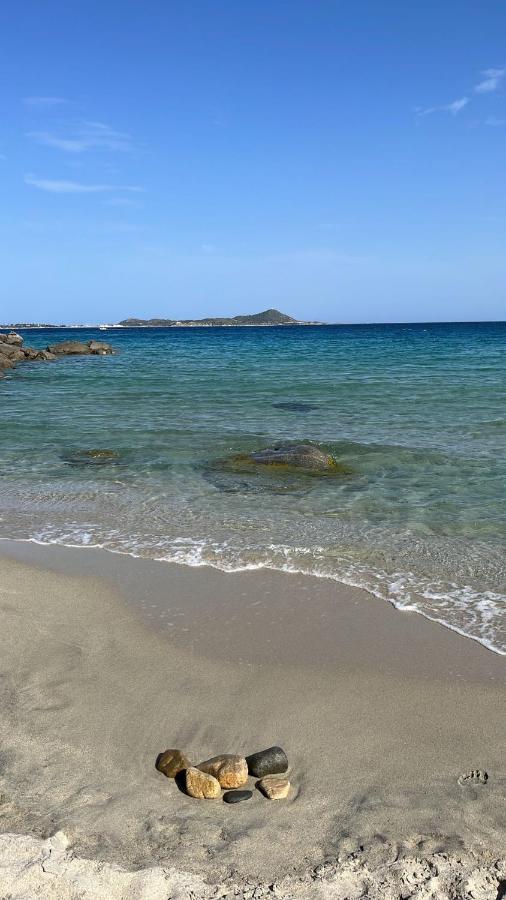 Casa Mare Incantevole ألغيرو المظهر الخارجي الصورة